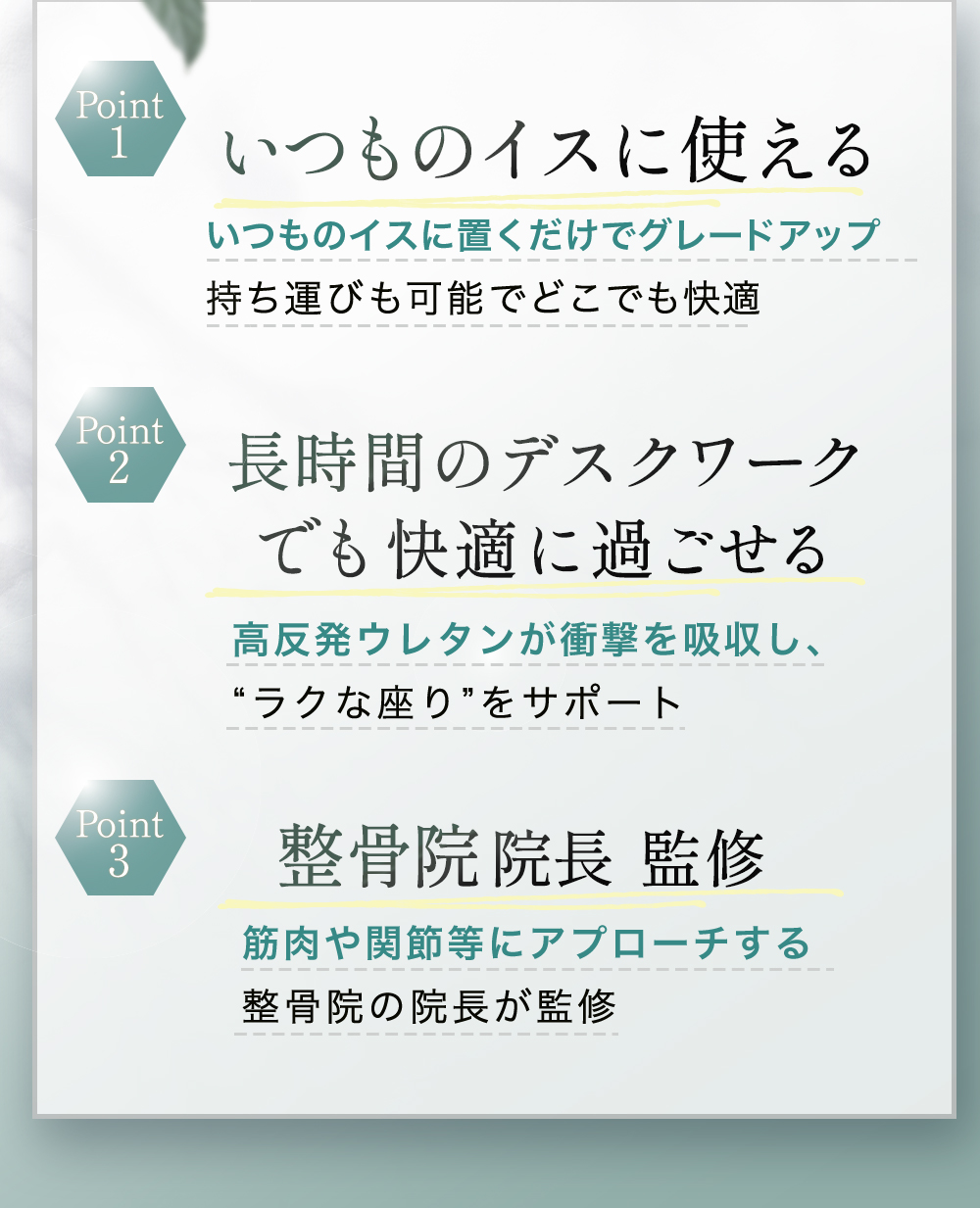 背骨 のびのび腰痛対策クッション [コジット]