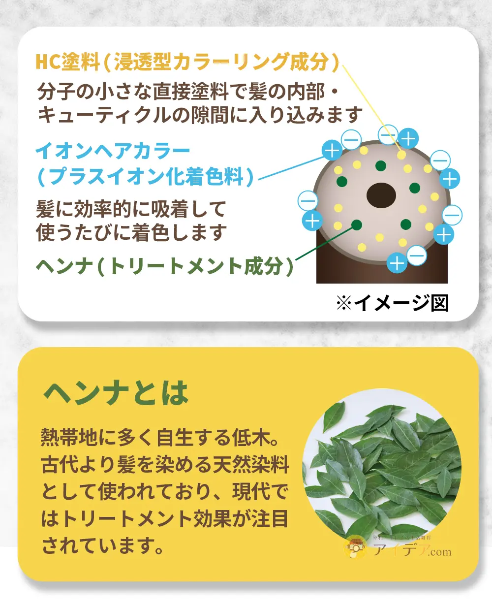 Mottoボタニカラーシャンプー&トリートメント：ヘンナとは