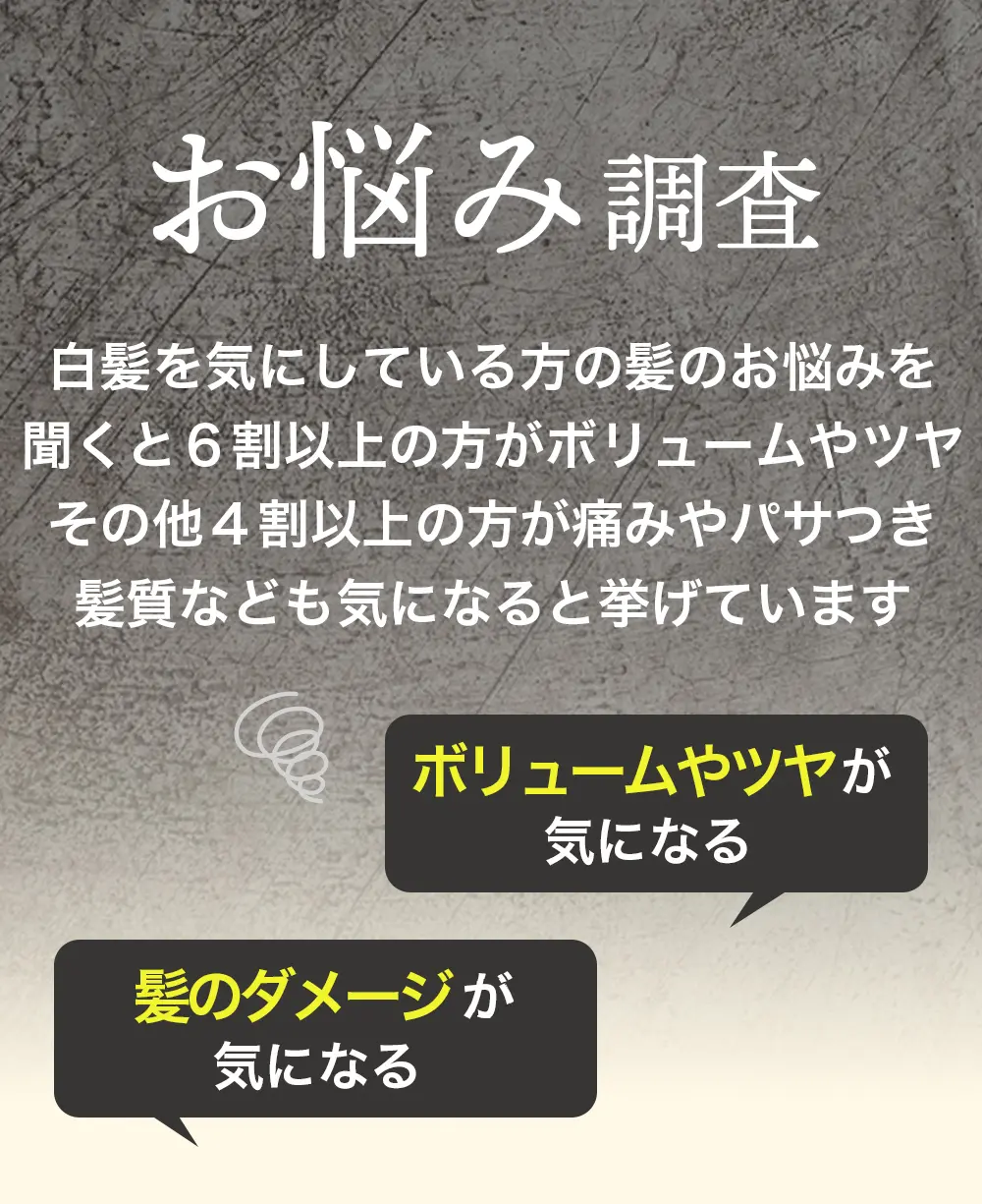 Mottoボタニカラーシャンプー&トリートメント：お悩み調査