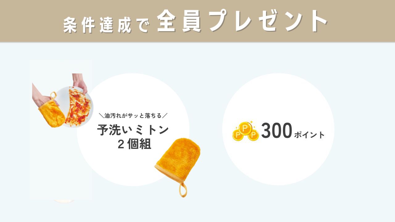 レビューでプレゼントキャンペーン