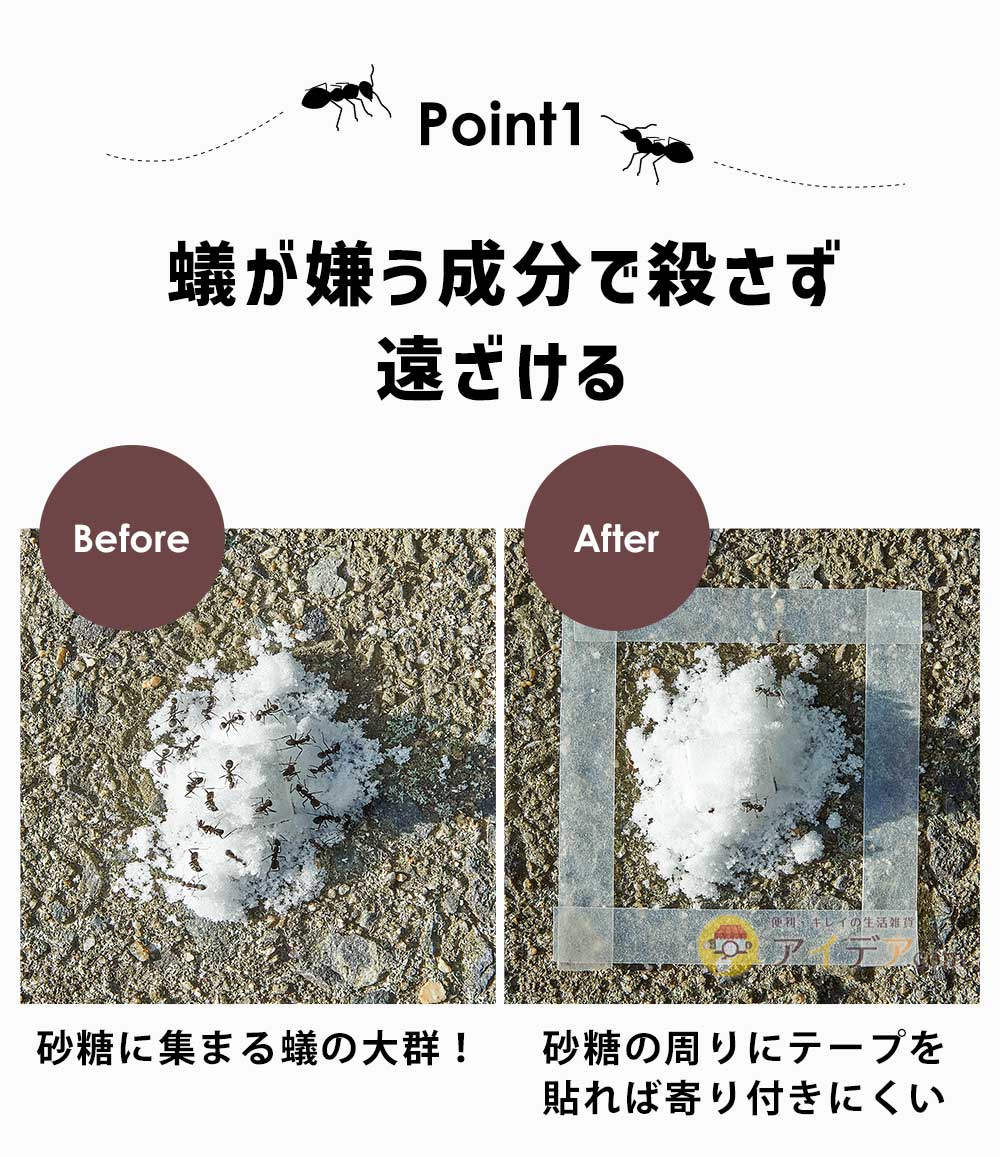 蟻が嫌う成分で殺さず遠ざける