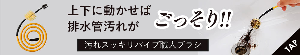 汚れスッキリパイプ職人スリムブラシ