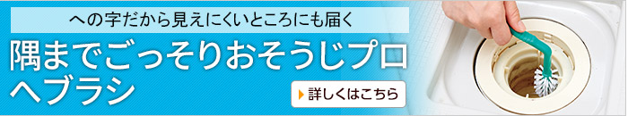 隅までごっそりおそうじプロ へブラシ