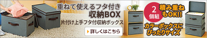 片付け上手フタ付収納ボックス 2個組