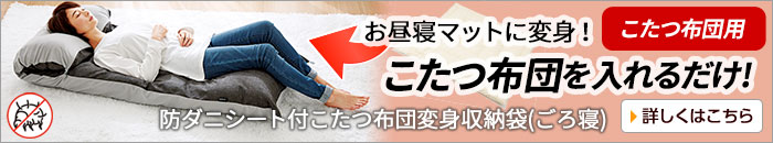 防ダニシート付こたつ布団変身収納袋(ごろ寝)