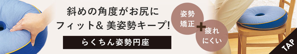 らくちん姿勢円座