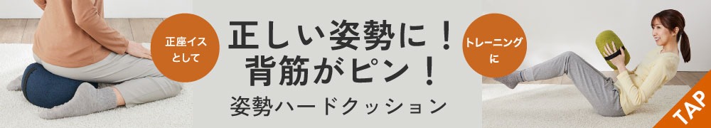 姿勢ハードクッション