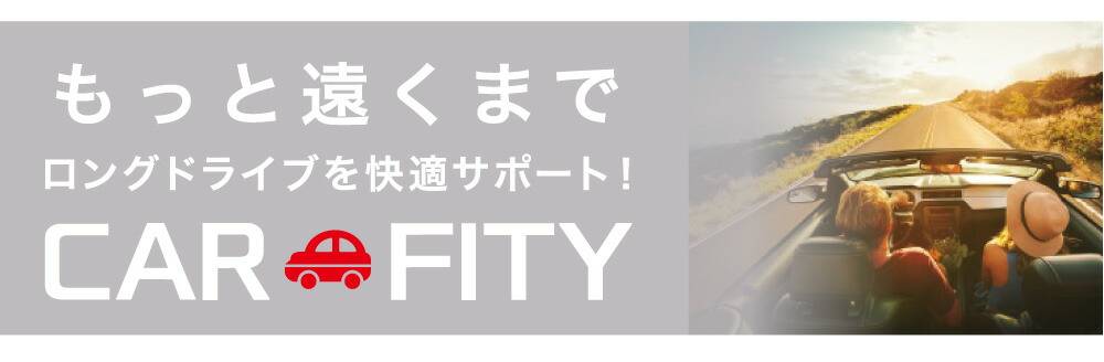 SOFIXGEL 腰サポートクッション:car fity