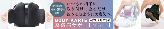 ボディカルテ 腰楽座サポートプレート
