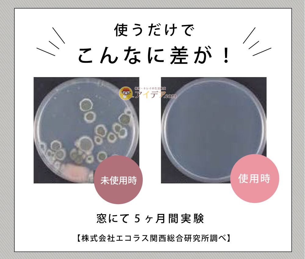 パワーバイオげた箱のカビきれい:こんなに差が!