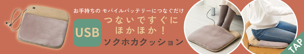 USBソクホカクッション