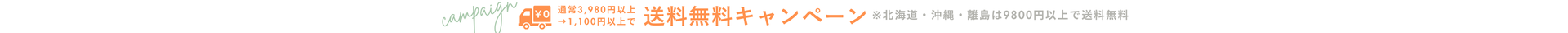 送料無料