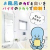 【メール便送料無料】バイオがパワーアップ。貼るだけ簡単！嫌なカビからお風呂を守る◆パワーバイオお風呂のカビきれい[コジット]嫌なカビ対策に！カビ湿気掃除お風呂カビ取り防カビカビ防止対策掃除【RCP】