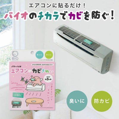 パワーバイオエアコンのカビきれい 通常版／バイオエンジェルス 