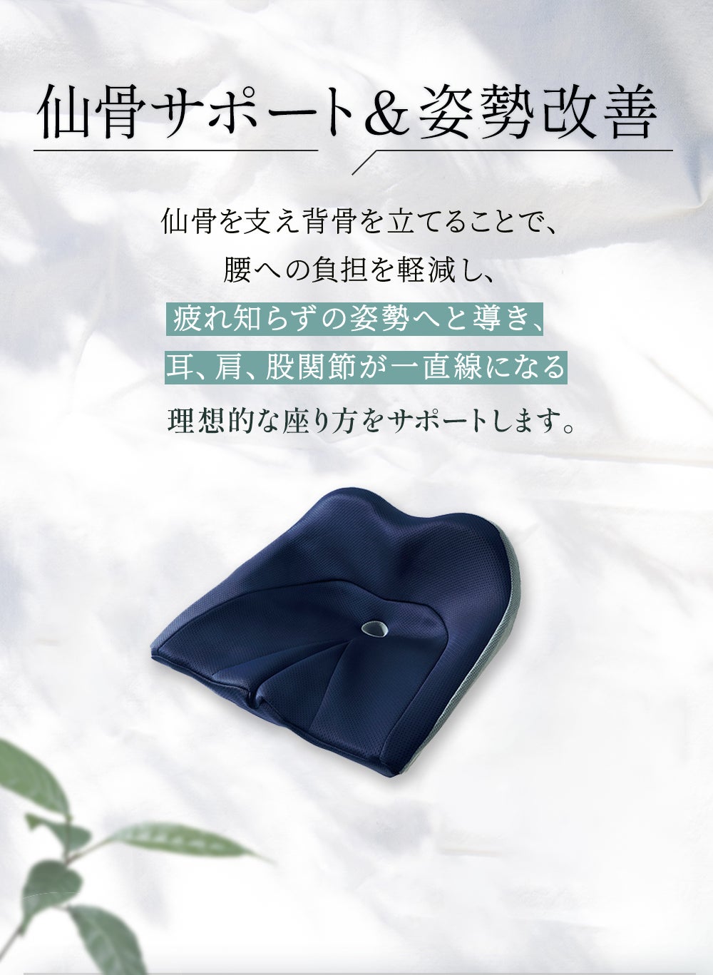 背骨 のびのび腰痛対策クッション [コジット]