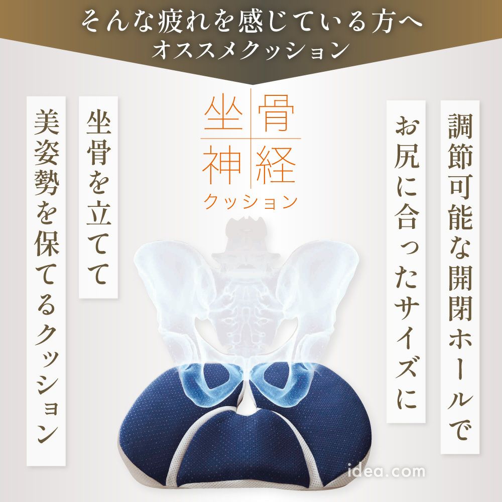 坐骨サポートクッション [コジット]
